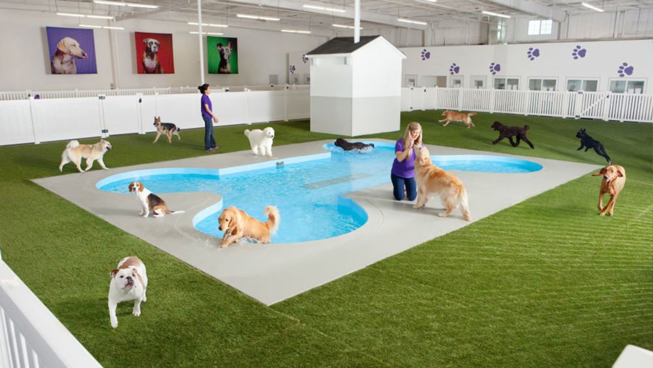 A new animal terminal is under construction at New York's John F. Kennedy International Airport. The ARK at JFK will include a Paradise 4 Paws pet resort featuring a bone-shaped swimming pool for dogs.