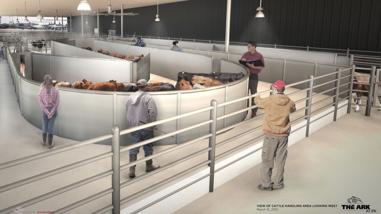 Livestock handling systems will also be part of the 178,000-square-foot animal terminal.