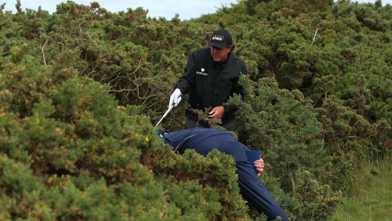 Pro golfer Phil Mickelson stands in a bush as he looks for his ball Thursday, July 16, at the British Open in St. Andrews, Scotland.