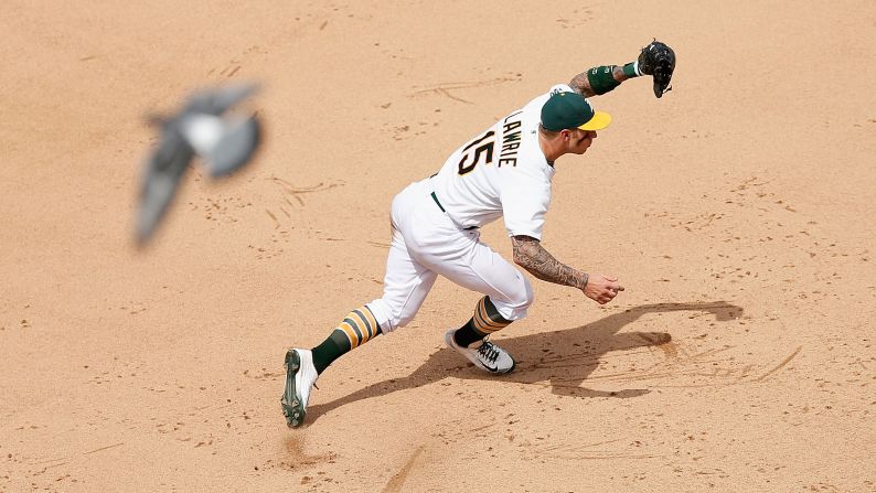 A bird flies over Oakland's Brett Lawrie as Lawrie fields a ball at third base on Sunday, July 19.