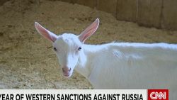 sanctions in russia pkg morgan qmb_00021502.jpg