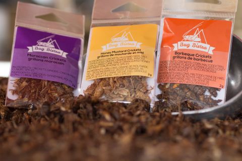 These packs of edible dried bugs are sold in the US by Bug Bistro. Their flavors range from honey mustard to sea salt and pepper to Moroccan spice. 