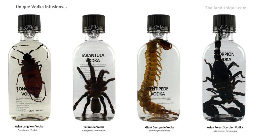 Thailand Unique has been exporting edible insects and bug-related products from Thailand for over a decade. Products range from bamboo worm vodka to honey roasted hornet larvae. 