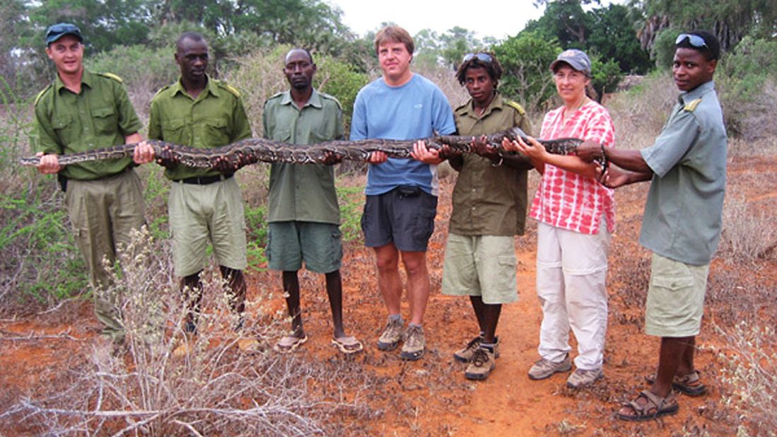 There are more than 100 snake species in Kenya, and snake safari outfit Bio-ken arranges tours to spot them in forests, riverbeds, rocky cliffs and mangroves.