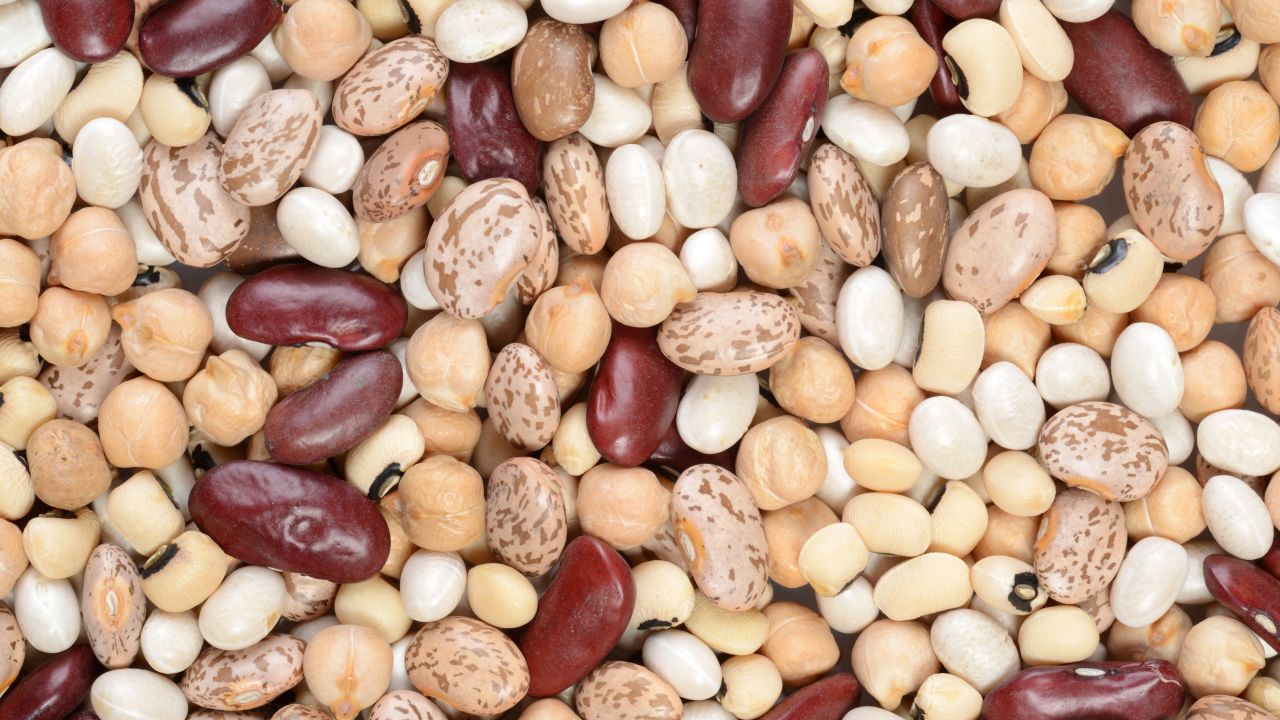 Beans are useful in lowering blood sugar levels and managing high cholesterol.