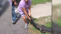 woman fights alligator to save dog pkg_00003114.jpg