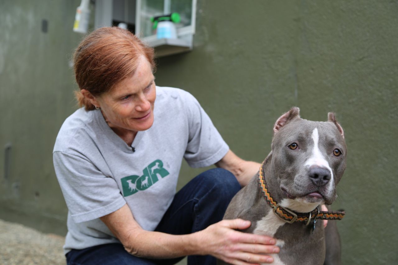 <a href="http://www.cnn.com/2015/07/23/us/cnn-heroes-weise/index.html" target="_blank">Lori Weise</a> runs Downtown Dog Rescue, a nonprofit that provides resources to help low-income families keep and care for their pets near Skid Row in Los Angeles.