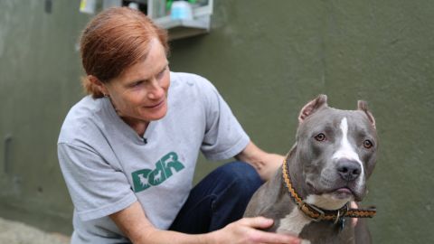 Weise's organization tries to reach families before they have to surrender their pets.