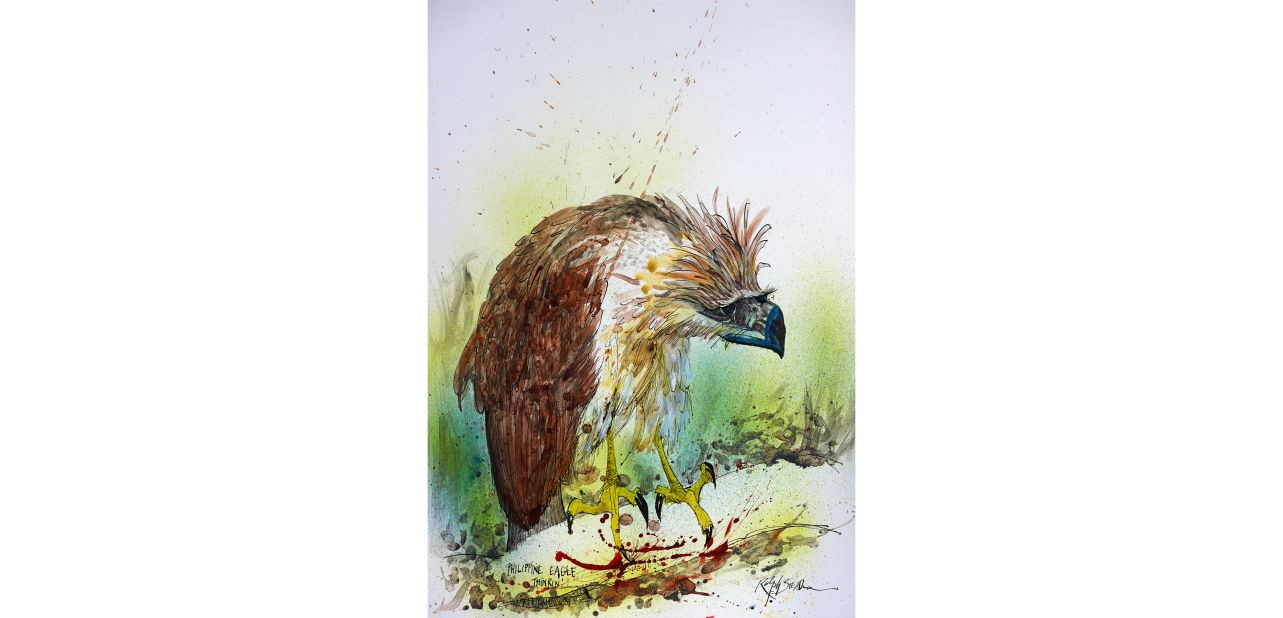 Steadman: "I'm a bit of a polluter really, when I think back now to the number of trees I've used up in the course of my work." <br />Pictured, "Philippine Eagle Thinking".