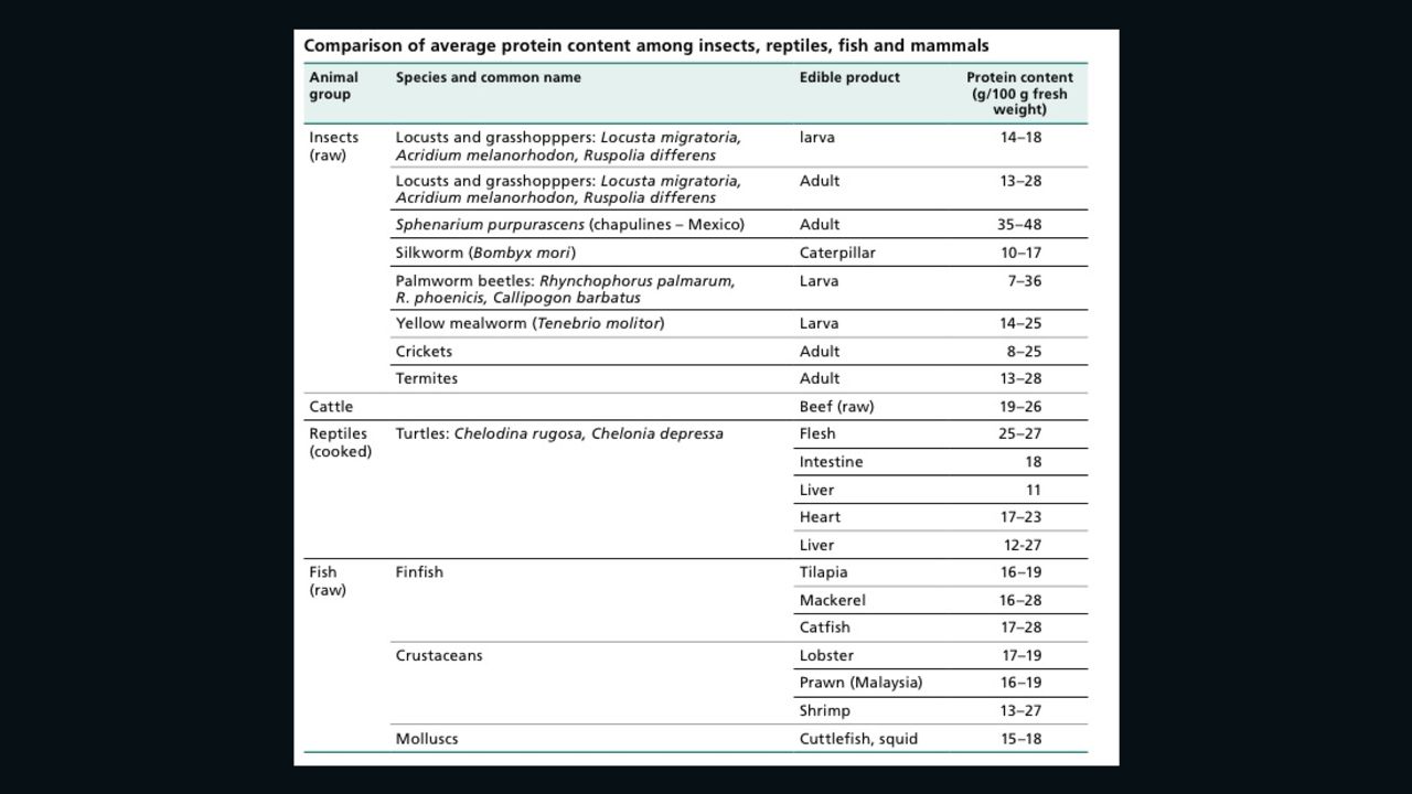 Protein levels in insects.