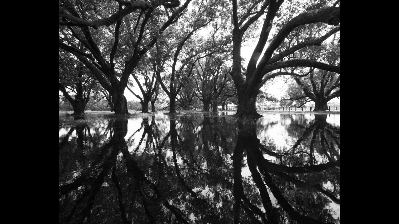 City Park in New Orleans is one of the nation's oldest urban parks. The park lost more than 2,000 trees in the wake of Katrina.