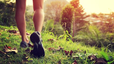 After a hike through the woods, people showed a decrease in self-reported rumination — or repetitive negative thought — and lower brain activity in areas linked to rumination. 