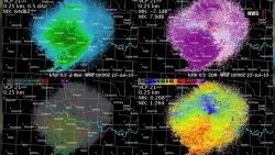 doppler radar detects locusts mayfly hatch bats wildfires orig_00004411.jpg