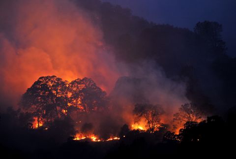 Trees and brush burn while firefighters battle the Wragg Fire near Winters, California, on Thursday, July 23. The fast-moving wildfire had scorched almost 7,000 acres in Napa and Sonoma counties, authorities said.