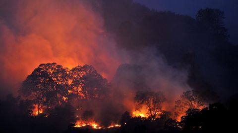 Trees and brush burn while firefighters battle the Wragg Fire near Winters, California, on Thursday, July 23. The fast-moving wildfire had scorched almost 7,000 acres in Napa and Sonoma counties, authorities said.