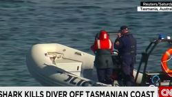 shark attack tasmanian coast newsroom_00001511.jpg