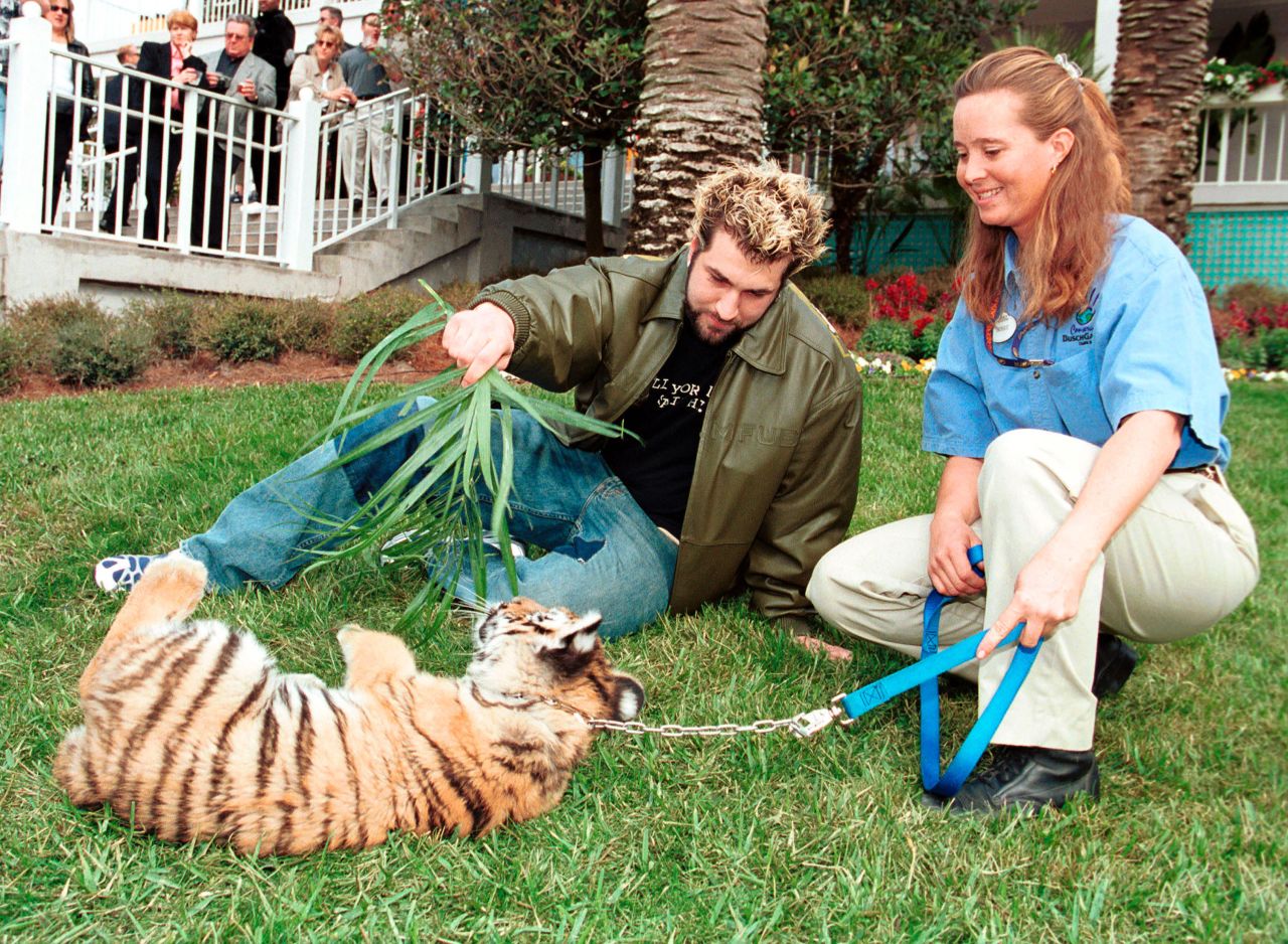 Boy band *NSYNC's Joey Fatone plays with a Bengal tiger cub at Busch Gardens, Tampa Bay on January 27, 2001 in Florida.