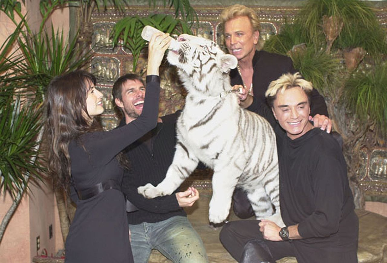 Actress Penelope Cruz feeds Atlas alongside actor Tom Cruise and Siegfried and Roy on January 5, 2002 at the Mirage Hotel and Casino.