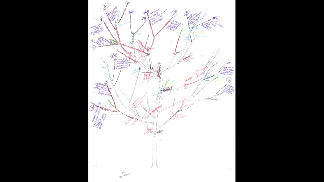 Van Aken diagrams each tree, allowing him to create a tree that blossoms evenly and for up to a month.