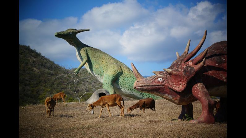 Real-life animals graze around dinosaur models.