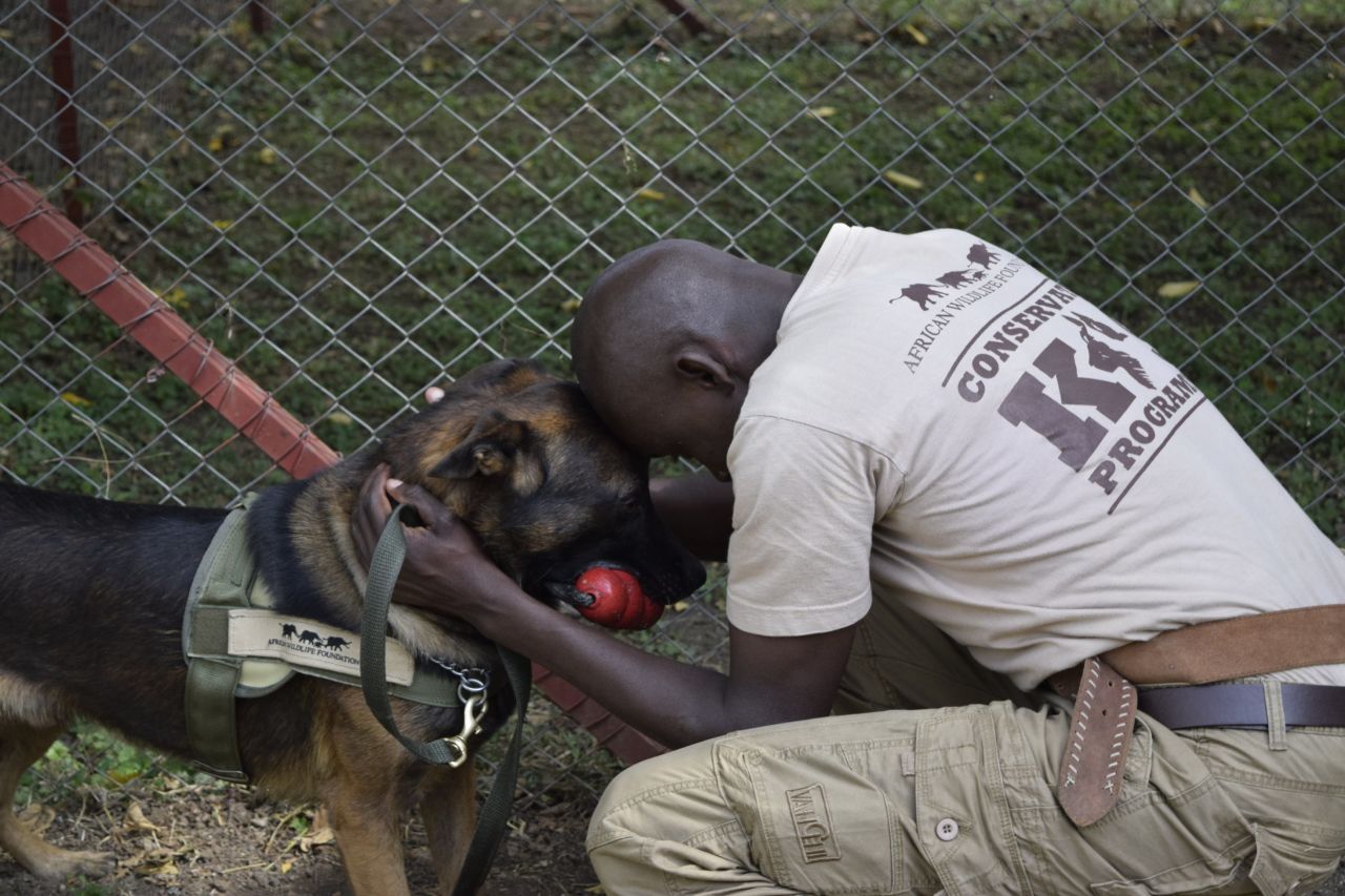 The program is as much about creating teaching handlers how to bond with their dogs as it is about training the canines. This is achieved through two months of intensive training. 