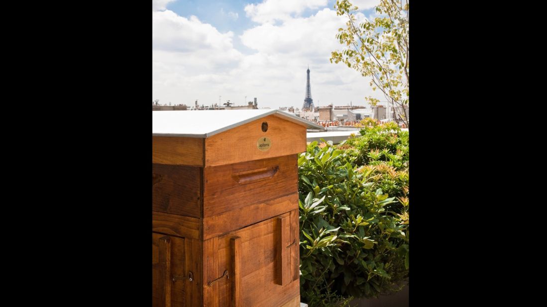 Paris has been a pesticide-free zone for more than 10 years, making the French capital an attractive urban environment for honey bees. <a href="https://www.cnn.com/2015/08/02/travel/honey-bee-hotels/index.html" target="_blank">50,000 bees reside</a> on the Mandarin Oriental's rooftop, with guests enjoying the sweet spoils. 