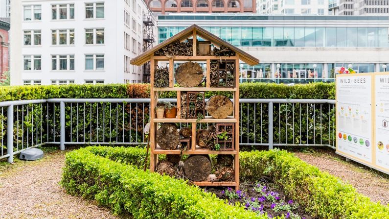 From May to September, guests at the Fairmont Waterfront can join a daily tour of the apiary and rooftop garden with a resident bee butler (and have a sneak peek at the bees from the observation hive).