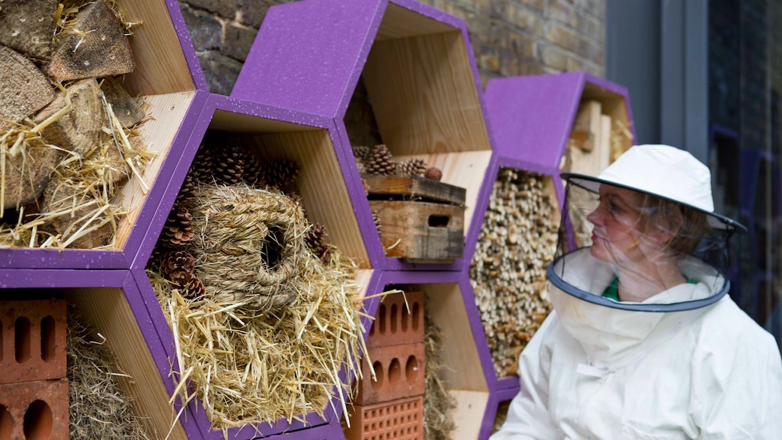Befriend local beekeepers who practice safe hive care.