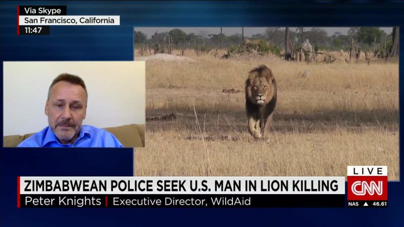 Zimbabwe Police Seek Us Man In Lion Killing Cnn 6936