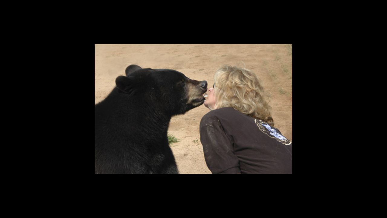 Gress' ex-wife shows affection to the sanctuary's black bear, named Tegrid. "They (the animals) didn't ask to be in a cage in the United States," says Gress. "But they're here. And it's our job to make them comfortable."