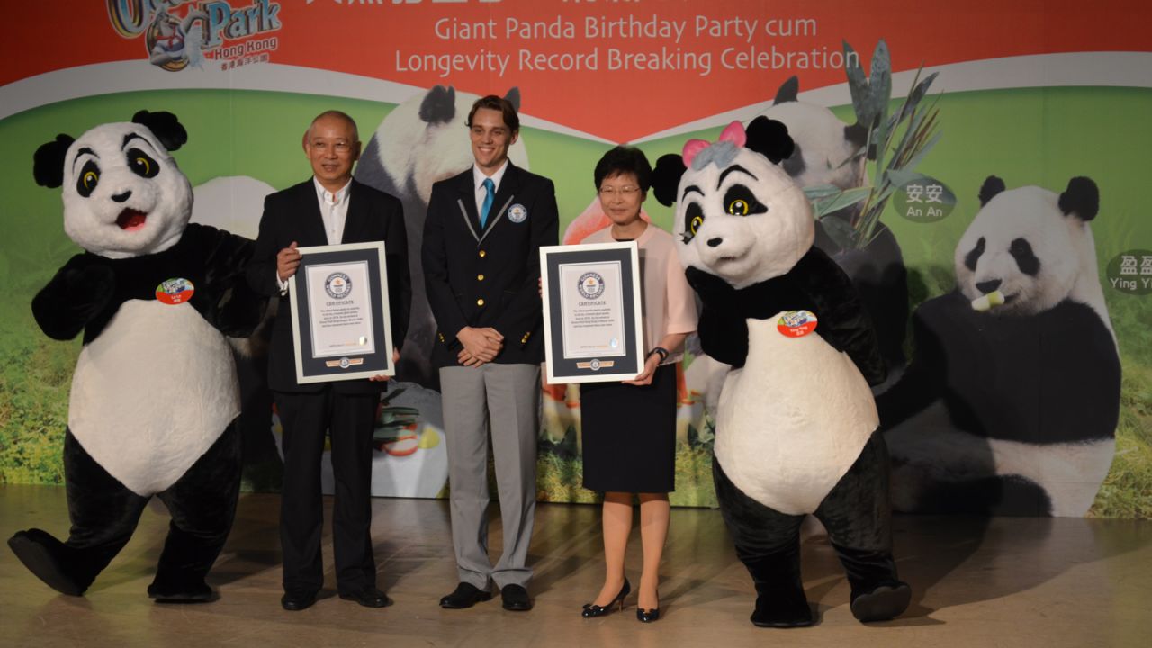 Blythe Fitzwiliam of Guinness World Records attended Jia Jia's birthday to award her the "Oldest Panda Ever in Captivity" and the "Oldest Panda Living in Captivity" world records. The previous titleholder was a female panda named Du Du, who spent most of her life in the Wuhan Zoo in China. She passed away in 1999 at age 37. 