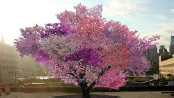tree of 40 fruits artist rendering