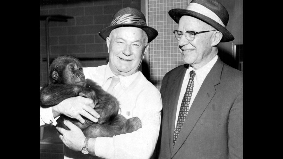 Silverback gorilla Willie B. helped spark change at Atlanta's zoo in the 1980s. At the zoo's nadir, Willie B. lived in a cramped cage with just a television. Thanks to poor conditions like Willie B.'s, the zoo's accreditation was revoked. But new director Terry Maple made major changes -- including a habitat for Willie B. -- and <a href="http://articles.latimes.com/1990-08-12/local/me-873_1_zoo-atlanta" target="_blank" target="_blank">Zoo Atlanta was turned around</a>. Willie B. died in 2000.