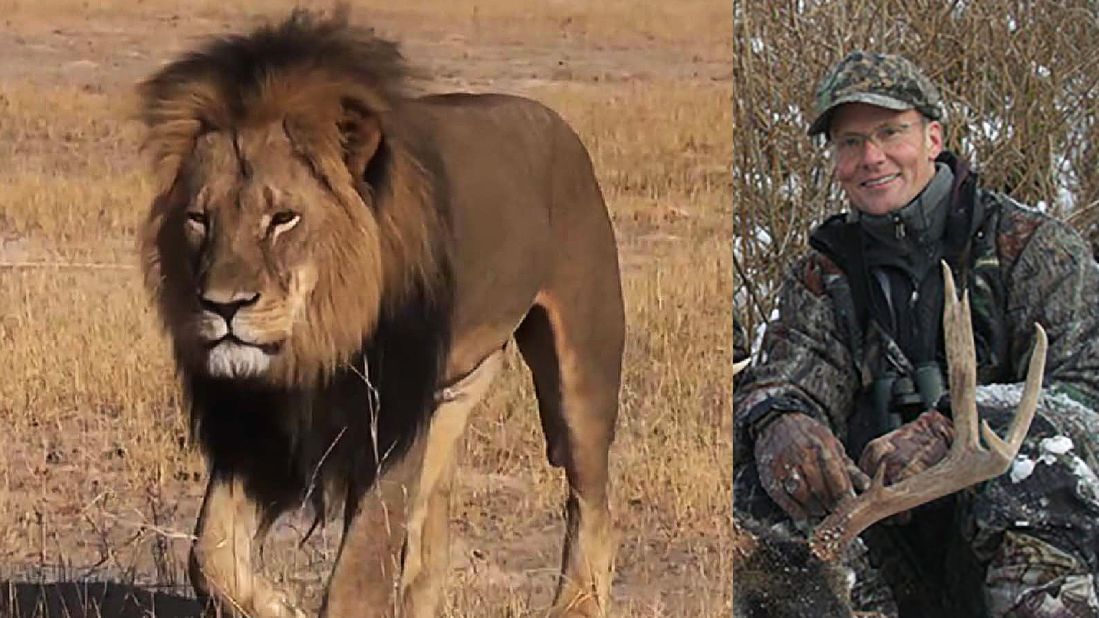 American dentist Walter Palmer was vilified online after it emerged he was the hunter behind the killing of Cecil the lion in Zimbabwe. Twitter users called for him to be shot and skinned after the famous lion was found dead after an alleged 40-hour hunt.