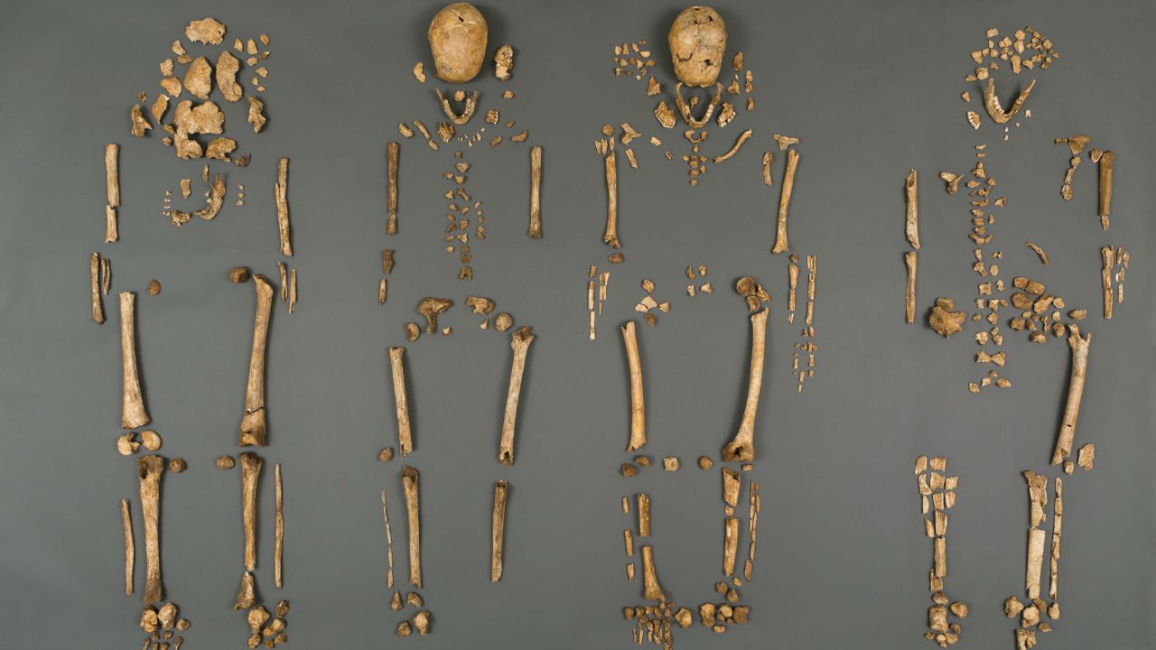 Scientists have uncovered the remains of four leaders of the Jamestown settlement in Virginia, which was the first permanent English settlement in the British New World. Excavators found the first Anglican minister of the settlement, an explorer and relatives of the governor of colonial Virginia beneath the ruins of a historic church. 