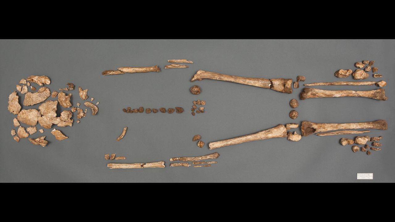 Researchers from the Smithsonian's National Museum of Natural History and the Jamestown Rediscovery Foundation found these remains buried without a coffin. All the bodies were found in the chancel of the church, a burial spot reserved for the colony's elite. 