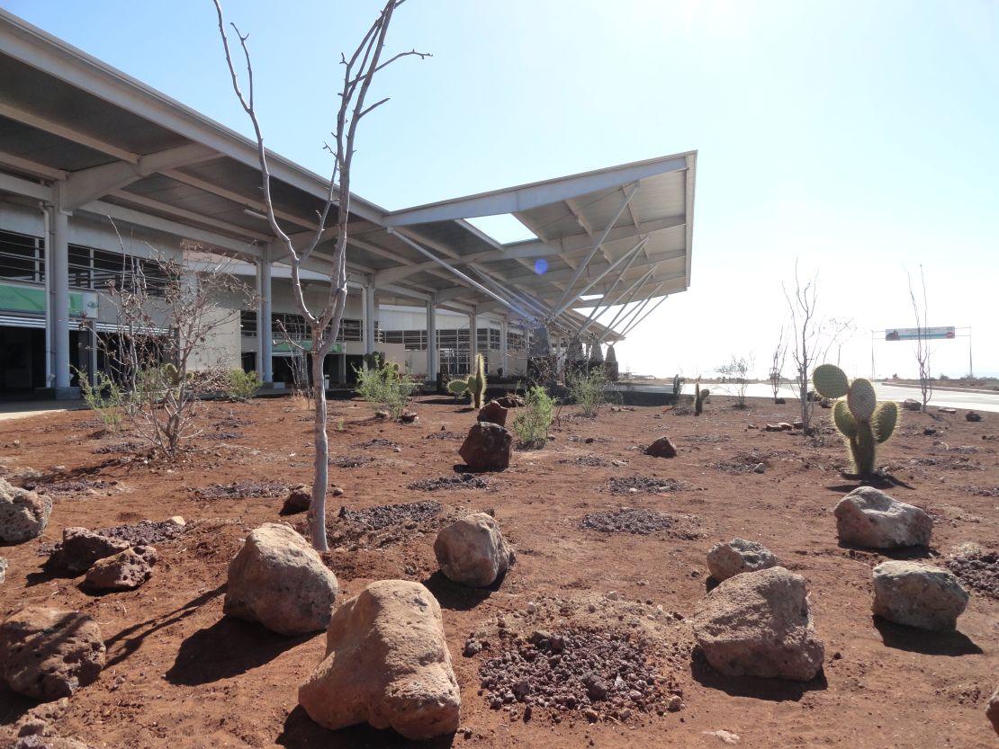 Endemic plants are dotted around the entrance of the 6,000m building, which required a $40m investment and was built using sustainable construction. 