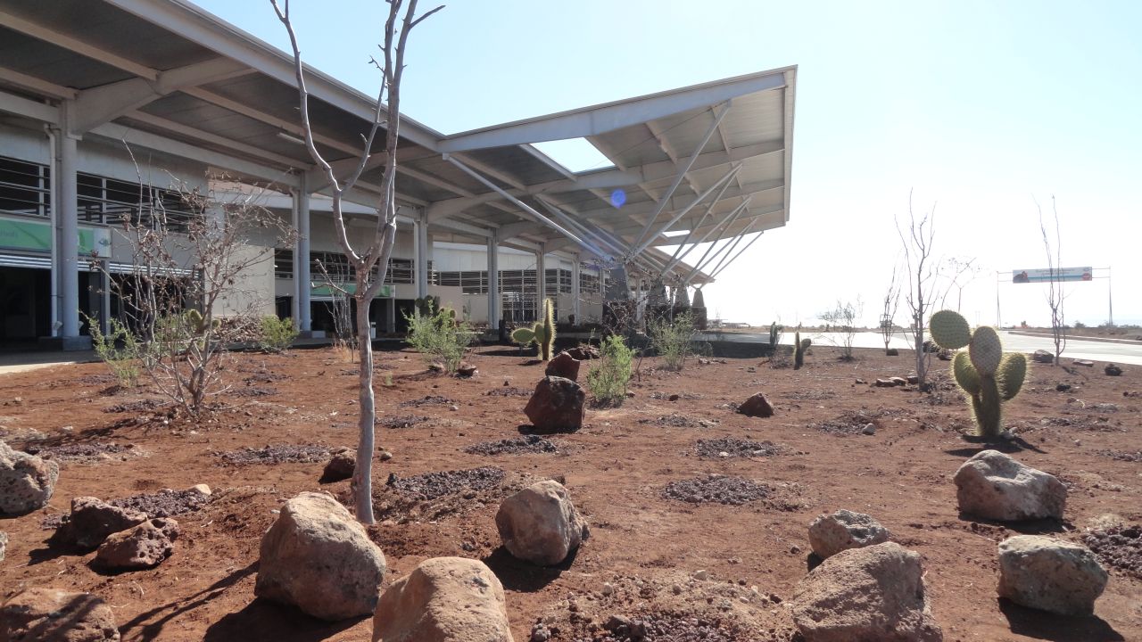 Endemic plants are dotted around the entrance of the 6,000m building, which required a $40m investment and was built using sustainable construction. 