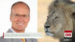 dentist faces backlash after killing lion young ac_00000110.jpg