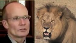dentist faces backlash after killing lion young ac_00004021.jpg
