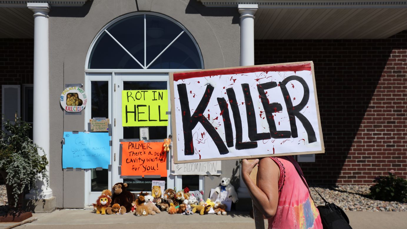 A protester walks outside the dental practice of Walter J. Palmer, a Minnesota hunter who killed a popular lion from Zimbabwe's Hwange National Park. Palmer is in the public crosshairs after the Zimbabwe Conservation Task Force said the lion, Cecil, <a href="http://www.cnn.com/2015/07/29/africa/zimbabwe-cecil-the-lion-killed/index.html" target="_blank">was lured out of the animal sanctuary and killed.</a> Cecil was skinned and beheaded, the conservation group said, and he was wearing a GPS collar as part of research backed by Oxford University. Two Zimbabweans have been charged with poaching, and officials in the African nation say they want to talk to Palmer. "I had no idea that the lion I took was a known, local favorite, was collared and part of a study until the end of the hunt," Palmer said in a statement. "I relied on the expertise of my local professional guides to ensure a legal hunt."
