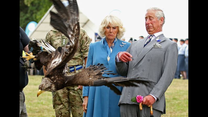 Britain's Prince Charles and his wife, Camilla, the Duchess of Cornwall, react as a bald eagle flaps its wings Wednesday, July 29, at the Sandringham Flower Show in King's Lynn, England. The eagle, Zephyr, is the mascot of the Army Air Corps.
