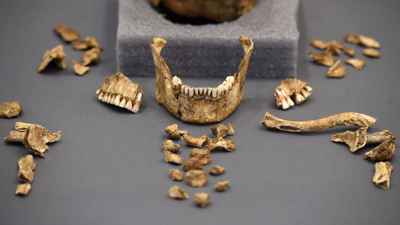 The remains of four prominent Jamestown settlers are displayed Tuesday, July 28, in Washington at the Smithsonian's National Museum of Natural History. Scientists <a href="http://www.cnn.com/2015/07/29/us/jamestown-virginia-skeletons/" target="_blank">found the remains</a> beneath the ruins of a historic church in Virginia. The colony of Jamestown was the first successful and permanent settlement in English America.