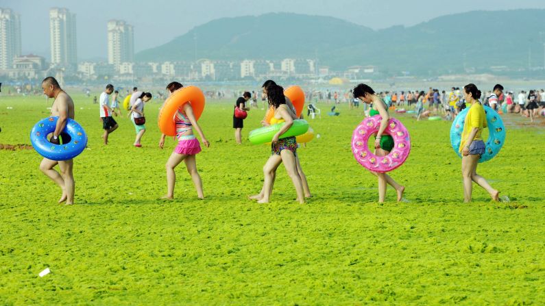 People in Qingdao, China, walk across a beach covered by seaweed on Friday, July 24. In recent summers, Qingdao beaches have been plagued by large seaweed drifts from the Yellow Sea.