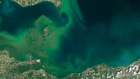 Algae blooms create swirls of green in western Lake Erie in this image taken July 28 by the Landsat 8 satellite. NOAA scientists predicted that the 2015 season for harmful algal blooms would be severe in western Lake Erie and possibly affect water safety. The blooms thrive when exposed to agricultural runoff, sunlight and warm temperatures.