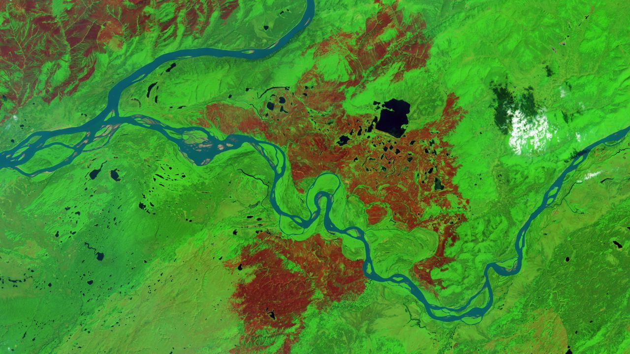 A satellite image shows the aftermath of a wildfire in Alaska in 2015. Burned forest appears brown and unburned forest is green. 
 
