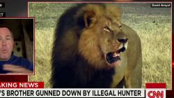 cecil the lions brother jericho shot dead in zimbabwe corwin intv nr_00010528.jpg