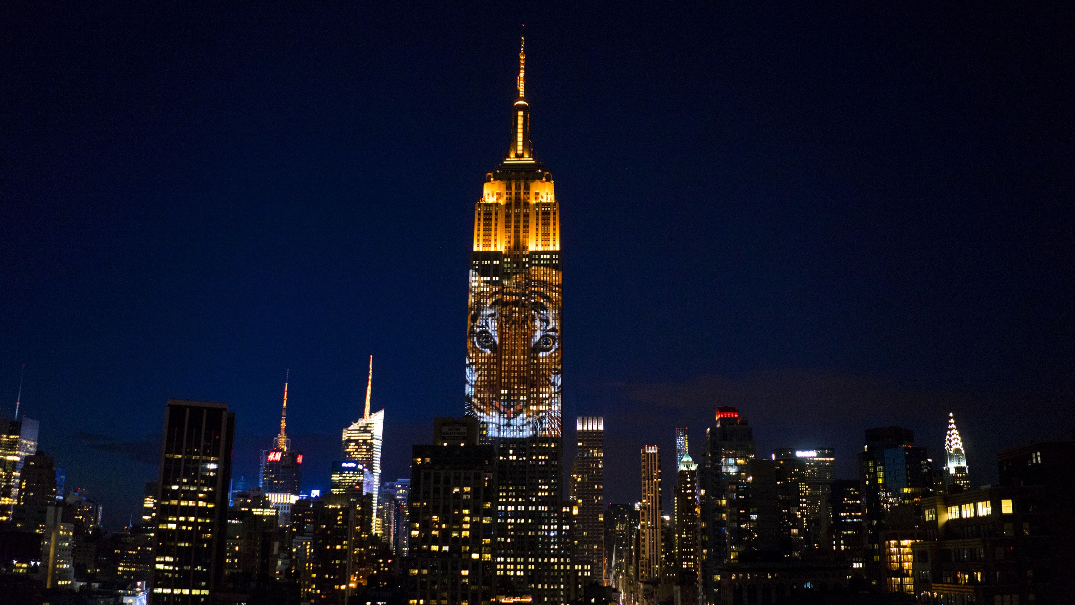 Empire State Building shines light on endangered species | CNN