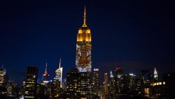 Large images of endangered species are projected on the south facade of The Empire State Building, Saturday, Aug. 1, 2015. The large scale projections are in part inspired by and produced by the filmmakers of an upcoming documentary called "Racing Extinction."