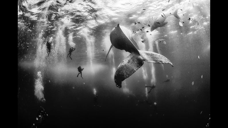 In 2015, the <a href="http://travel.nationalgeographic.com/photo-contest-2015/" target="_blank" target="_blank">National Geographic Traveler Photo Contest</a> received more than 17,000 entries from photographers around the world. Grand-prize winner Anuar Patjane Floriuk will get an eight-day <a href="http://www.nationalgeographicexpeditions.com/expeditions/costa-rica-photo-tour/detail" target="_blank" target="_blank">National Geographic Photo Expedition</a> to Costa Rica and the Panama Canal. Here's how he describes his winning photo: "Diving with a humpback whale and her newborn calf while they cruise around Roca Partida ... in the Revillagigedo (Islands), Mexico. This is an outstanding and unique place full of pelagic life, so we need to accelerate the incorporation of the islands into UNESCO as (a) natural heritage site in order to increase the protection of the islands against the prevailing illegal fishing corporations and big-game fishing."